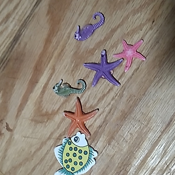 Starfish- various colours - Picture 8 of 8